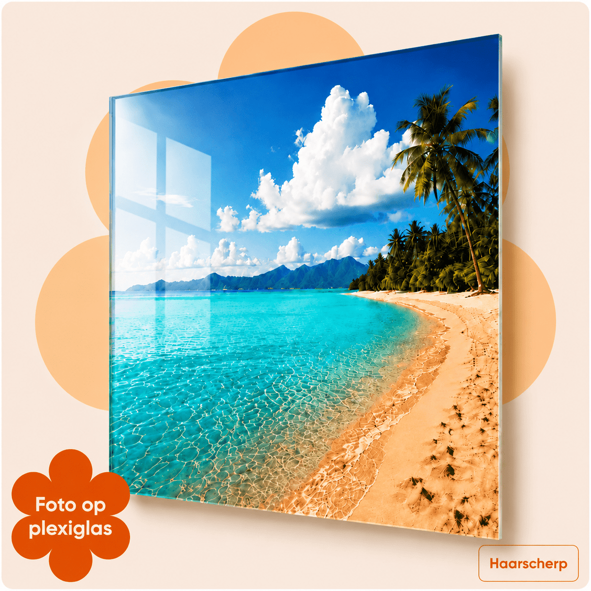 Foto op Plexiglas - AFBEELDING AAN DE MUUR