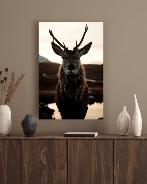 Hert wanddecoratie plexiglas - AFBEELDING AAN DE MUUR