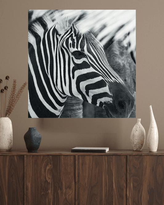 Zebra wanddecoratie plexiglas - AFBEELDING AAN DE MUUR