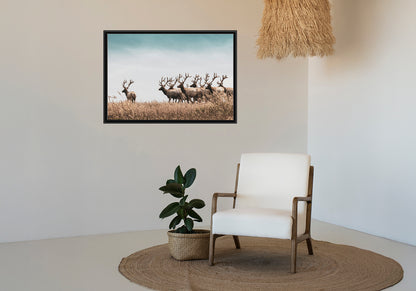 Canvas met baklijst - AFBEELDING AAN DE MUUR