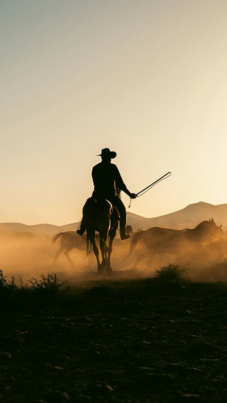 Paard met cowboy - AFBEELDING AAN DE MUUR